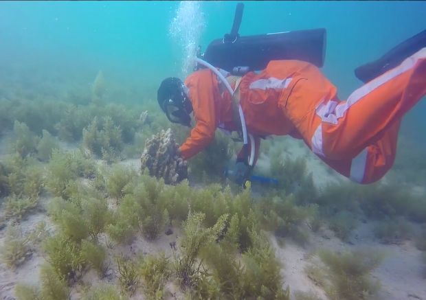 Z6·尊龙凯时「中国」官方网站