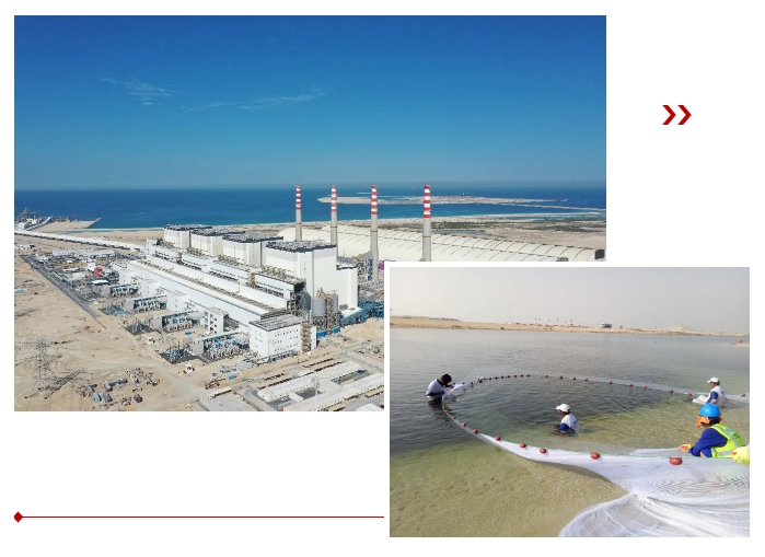 Z6·尊龙凯时「中国」官方网站