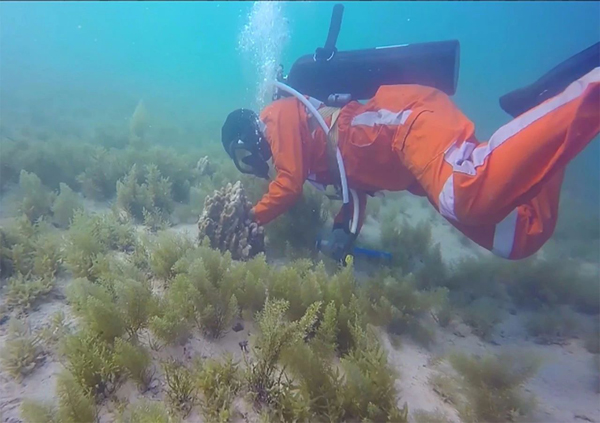 Z6·尊龙凯时「中国」官方网站